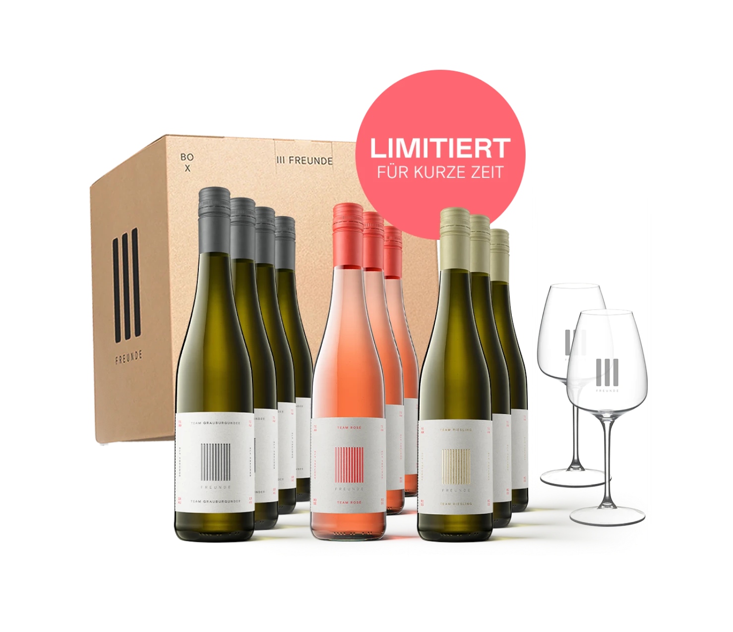 ELF FREUNDE FAN BOX (12er Box)