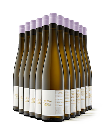 Riesling Alte Reben