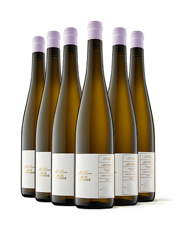 Riesling Alte Reben